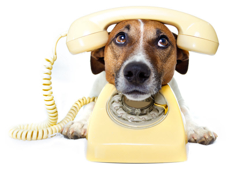 5-fun-facts-about-the-telephone-you-never-knew-friday-five