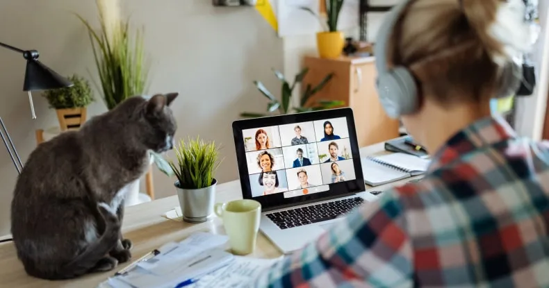 A woman at home teleconferencing with colleagues while cat is on the desk