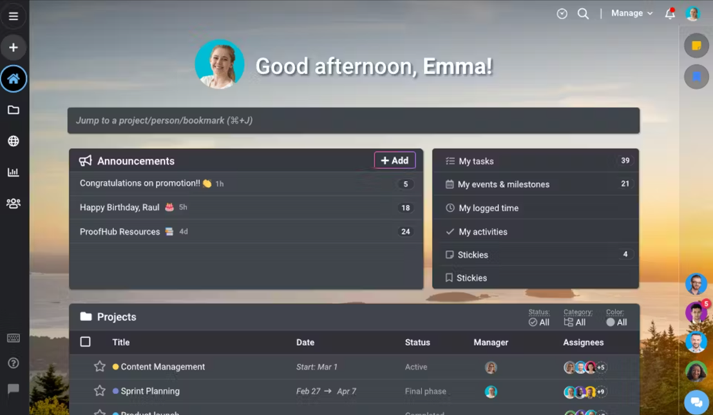The ProofHub interface